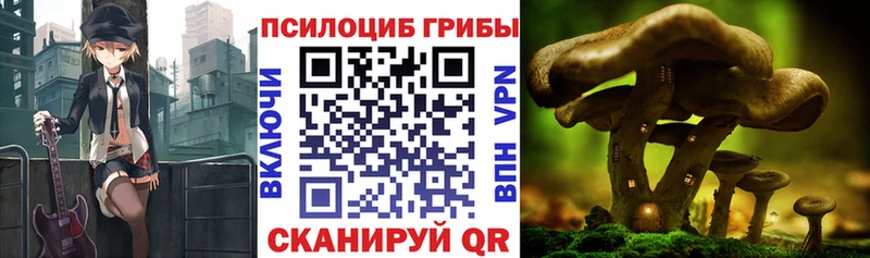 Галлюциногенные грибы MAGIC MUSHROOMS МЕГА tor Балахна как найти закладки